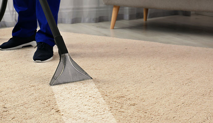 Carpet Cleaning in Sarasota, Florida