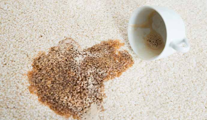 A spilled cup of coffee is staining the carpet