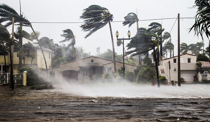 Hurricane Cleanup