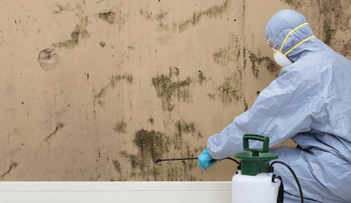 Person cleaning mold with equipment