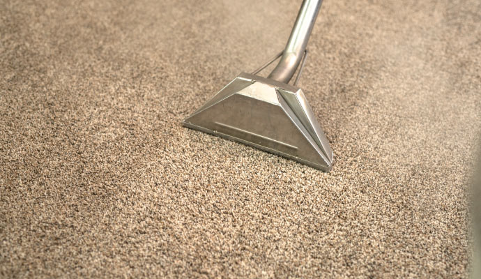 Person cleaning carpet with equipment