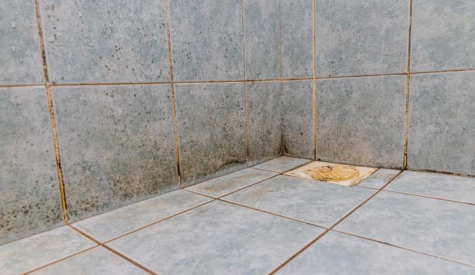 Mold on tile