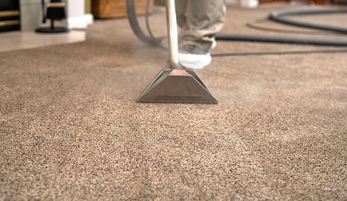 professional worker cleaning Carpet