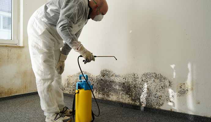 Person cleaning black mold with equipment