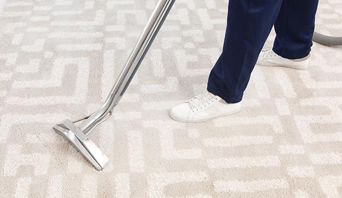 Chemical-Free Carpet Cleaning in Sarasota, FL | Teasdale Sarasota